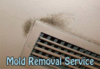 Ventilation cleaning